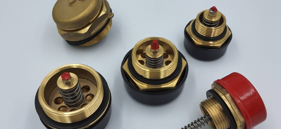 20210201_110210-scaled